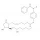 Prostaglandin E2 p-benzamidophenyl ester (CAS 57790-53-1) - chemical structure image