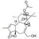 Prostratin (CAS 60857-08-1) - chemical structure image