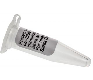 Protein L-Agarose: sc-2336...