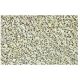 PRPK Antibody (F-9) - Immunohistochemistry - Image 35984 