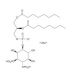 PtdIns-(3,4)-P2 (1,2-dioctanoyl) (sodium salt) - chemical structure image