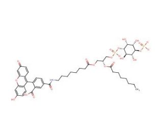 PtdIns (4)-P1-fluorescein (ammonium salt) - chemical structure image