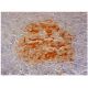 PTP IA-2 Antibody (98/4H6) - Immunohistochemistry - Image 301752 