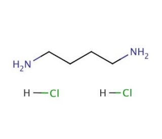 Putrescine dihydrochloride (CAS 333-93-7) - chemical structure image