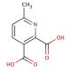 Pyridine-2,3-dicarboxylic acid-2-methyl ester (CAS 53636-70-7) - chemical structure image