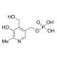 Pyridoxol 5′-Phosphate (CAS 447-05-2) - chemical structure image