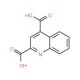 Quinoline-2,4-dicarboxylic acid (CAS 5323-57-9) - chemical structure image