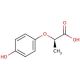 (R)-(+)-2-(4-Hydroxyphenoxy)propionic acid (CAS 94050-90-5) - chemical structure image