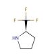 (R)-(−)-2-(Trifluoromethyl)pyrrolidine (CAS 119618-29-0) - chemical structure image