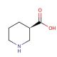 (R)-(−)-3-Piperidinecarboxylic acid (CAS 25137-00-2) - chemical structure image