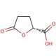 (R)-(−)-5-Oxo-2-tetrahydrofurancarboxylic acid (CAS 53558-93-3) - chemical structure image