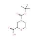 (R)-N-Boc-morpholine-2-carboxylic acid (CAS 884512-77-0) - chemical structure image