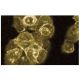 RABAPTIN-5 Antibody (20) - Immunofluorescence - Image 60673