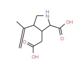 rac Kainic Acid (CAS 73209-05-9) - chemical structure image