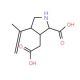 rac Kainic Acid (CAS 73209-05-9) - chemical structure image