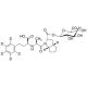 Ramiprilat-d5 Acyl-β-D-glucuronide - chemical structure image