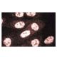 Reptin 52 Antibody (42) - Immunofluorescence - Image 60679