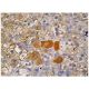 Ret Antibody (C-3) - Immunohistochemistry - Image 263031 