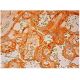 SLC19A1 Antibody (D-4) - Immunohistochemistry - Image 304605