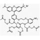 Rhod-5N, AM - chemical structure image