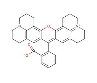 Rhodamine 101 Inner Salt (CAS 116450-56-7) - chemical structure image 
