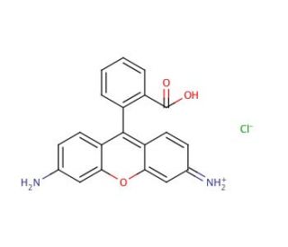 Rhodamine 110 chloride (CAS 13558-31-1) - chemical structure image 