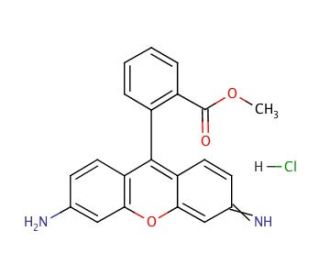 Rhodamine 123 (CAS 62669-70-9) - chemical structure image