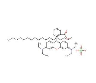 Rhodamine B octadecyl ester perchlorate (CAS 142179-00-8) - chemical structure image