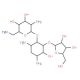 Ribostamycin sulfate salt (CAS 53797-35-6) - chemical structure image