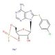 Rp-8-CPT-cAMPS (CAS 129735-01-9) - chemical structure image