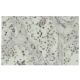 RSL24D1 Antibody (3H2) - Immunohistochemistry - Image 36182 