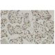 RUNX2 Antibody (27-K) - Immunohistochemistry - Image 36311