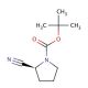 (S)-(−)-1-Boc-2-pyrrolidinecarbonitrile (CAS 228244-04-0) - chemical structure image