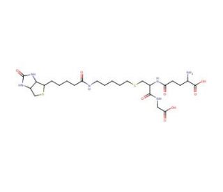 S-(1-Pentyl-5-biotinylamido)glutathione - chemical structure image