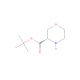 (S)-3-Morpholinecarboxylic Acid 1,1-Dimethylethyl Ester (CAS 1353085-67-2) - chemical structure image