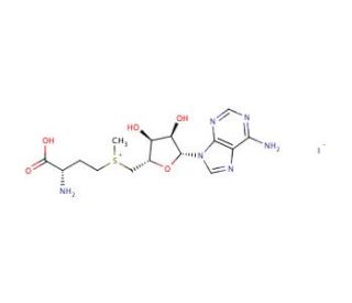 S-(5&prime;-Adenosyl)-L-Methionine Iodide (CAS 3493-13-8) - chemical structure image