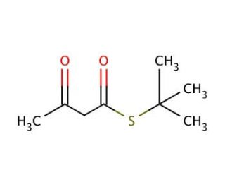 S-tert-Butyl acetothioacetate (CAS 15925-47-0) - chemical structure image