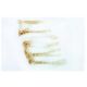 SCCA1 Antibody (8H11) - Immunohistochemistry - Image 3635