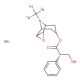 Scopolamine-d3 Hydrobromide Hydrate 的分子结构 Scopolamine-d3 Hydrobromide Hydrate - chemical structure image