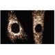 Sec31A Antibody (32) - Immunofluorescence - Image 133627