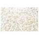 SgK223 Antibody (O67) - Immunohistochemistry - Image 53991