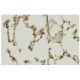 SH2D4A Antibody (63-J) - Immunohistochemistry - Image 35963 