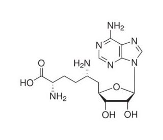 Sinefungin (CAS 58944-73-3) - chemical structure image