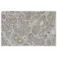 SLC4A8 Antibody (LX-2) - Immunohistochemistry - Image 36113