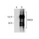 SPACR Antibody (A-2) - Western Blotting - Image 159327