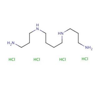 Spermine, Tetrahydrochloride (CAS 306-67-2) - chemical structure image