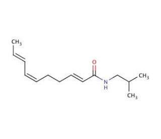 Spilanthol A mixture of (2E, 6Z, 8E) >80%; (2E, 6E, 8E); and (2E, 6Z, 8Z) - chemical structure image