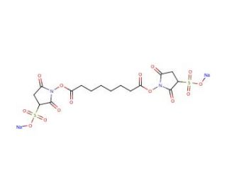 Suberate Bis(sulfosuccinimidyl) Sodium Salt (CAS 127634-19-9) - chemical structure image