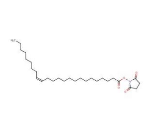 Succinimidyl Nervonate (CAS 191354-88-8) - chemical structure image