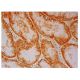 SUCLG2 Antibody (A-2) - Immunohistochemistry - Image 302555 